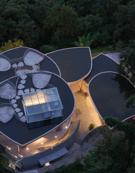 Buzzy Sunny· Feixue Pavilion